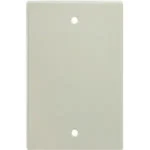 TAPA DE PVC RECTANGULAR 10X5 P/ATORNILLAR - E00